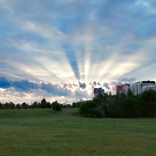 Photo #4999913
