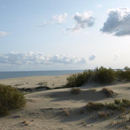 Photo #4999936