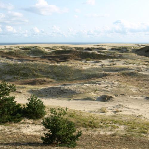Photo #4999949