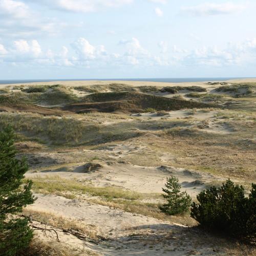 Photo #4999961