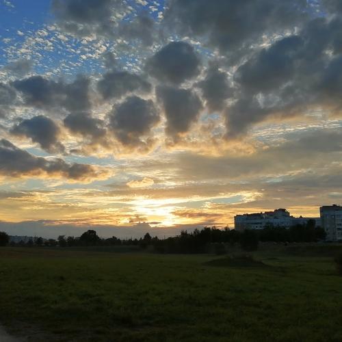 Photo #4999967