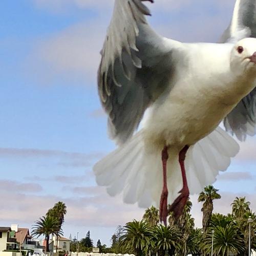 Photo #4999980