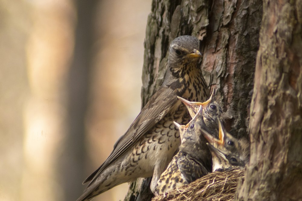 Photograph by миша