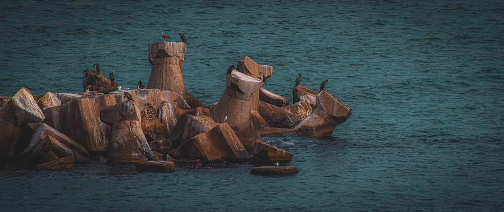 Photograph by Neacșu Marius