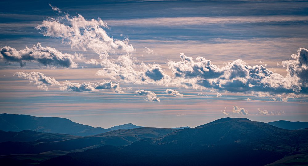 Photograph by Neacșu Marius