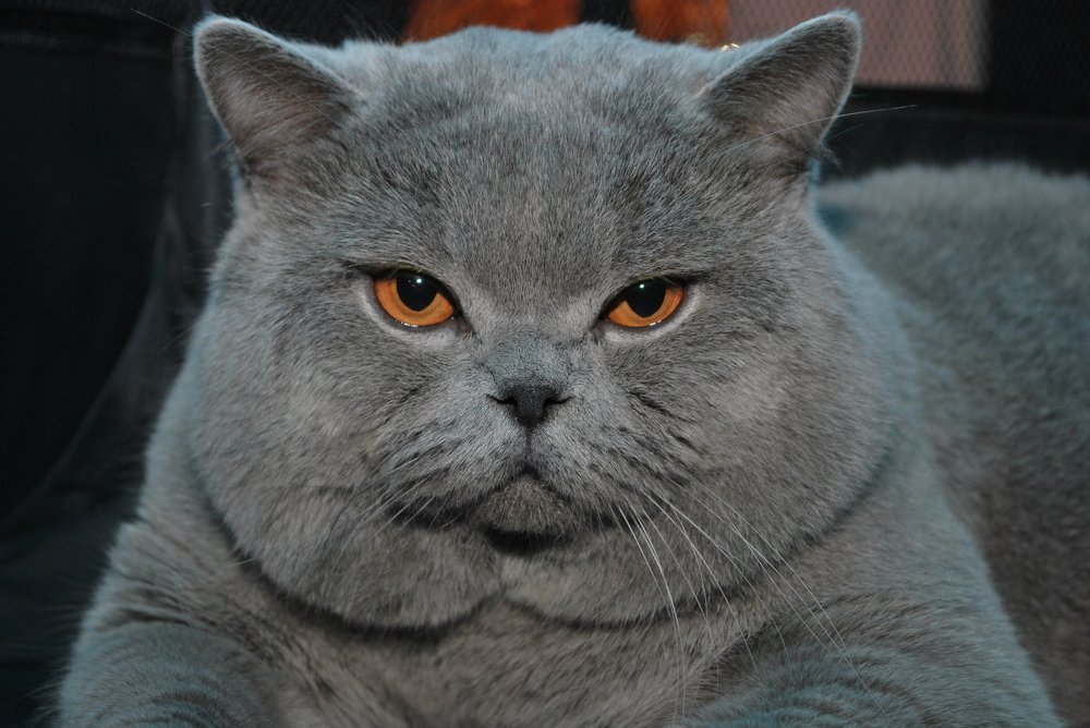 Photograph by Red Woman