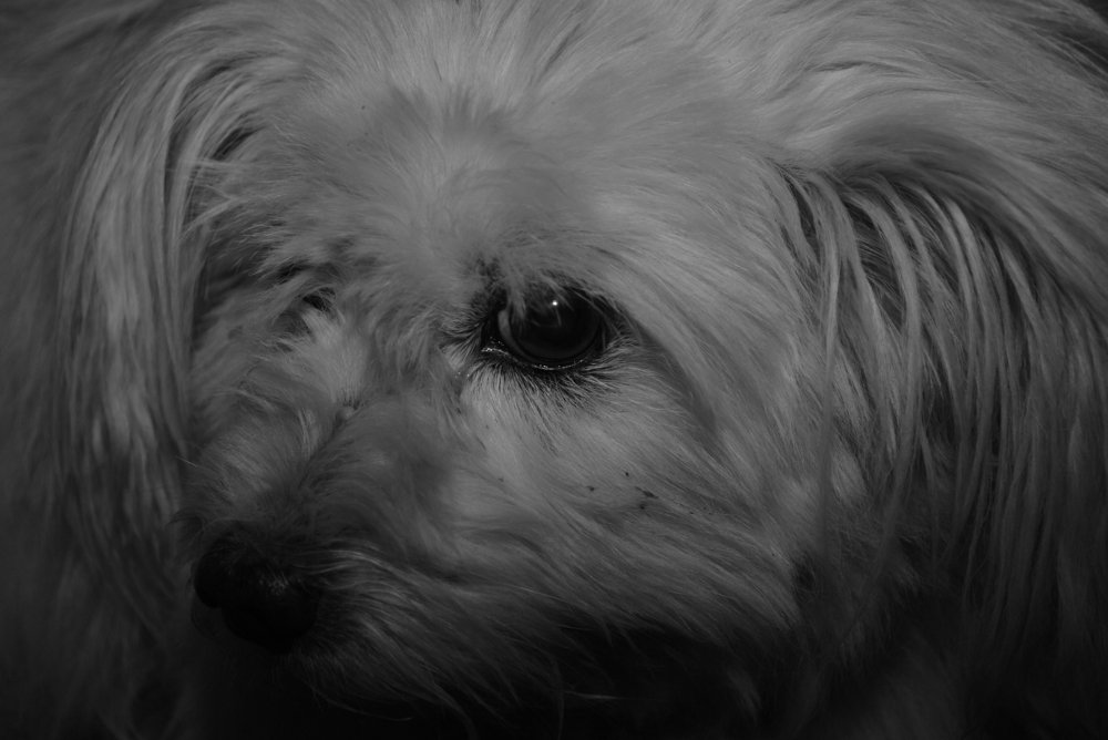 Photograph by Red Woman