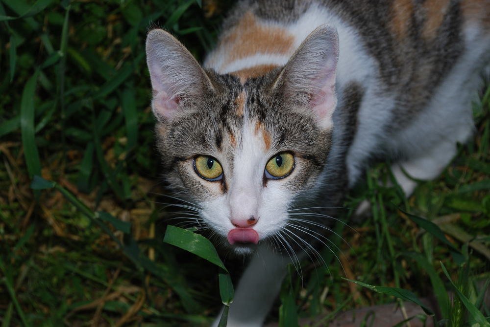 Photograph by Red Woman