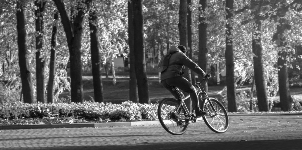 Фотография автора Вадим Чертков