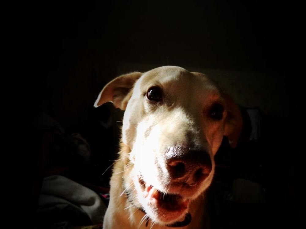 Фотография автора Сергей Рапопорт