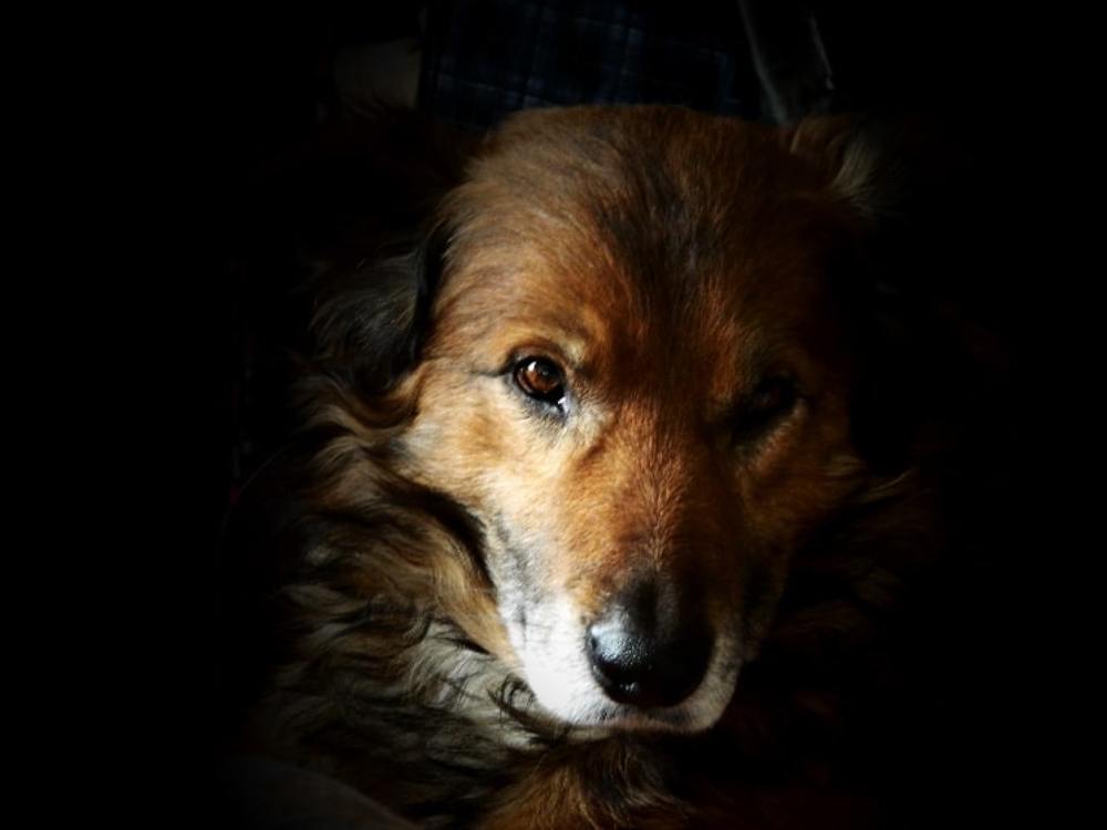 Фотография автора Сергей Рапопорт