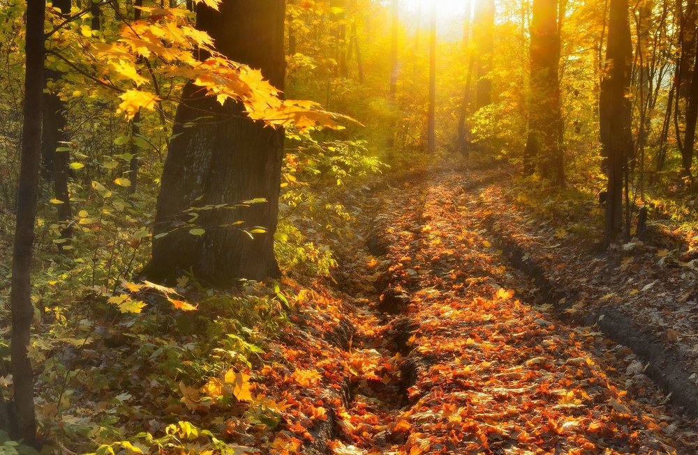 Photograph by Александр Кульгин