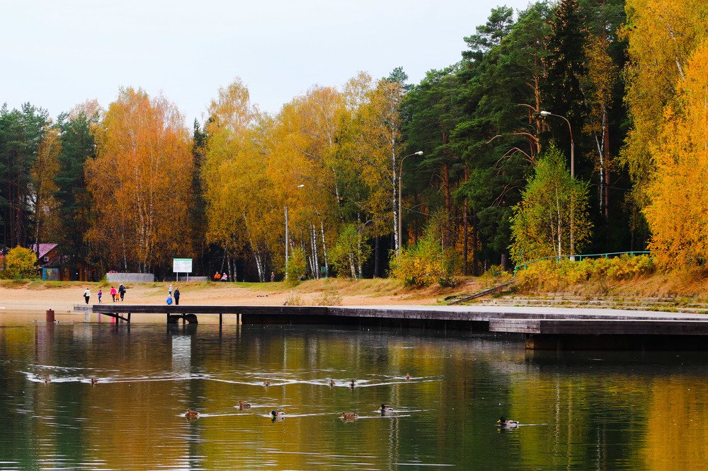 Photograph by Анастасия Мушенок