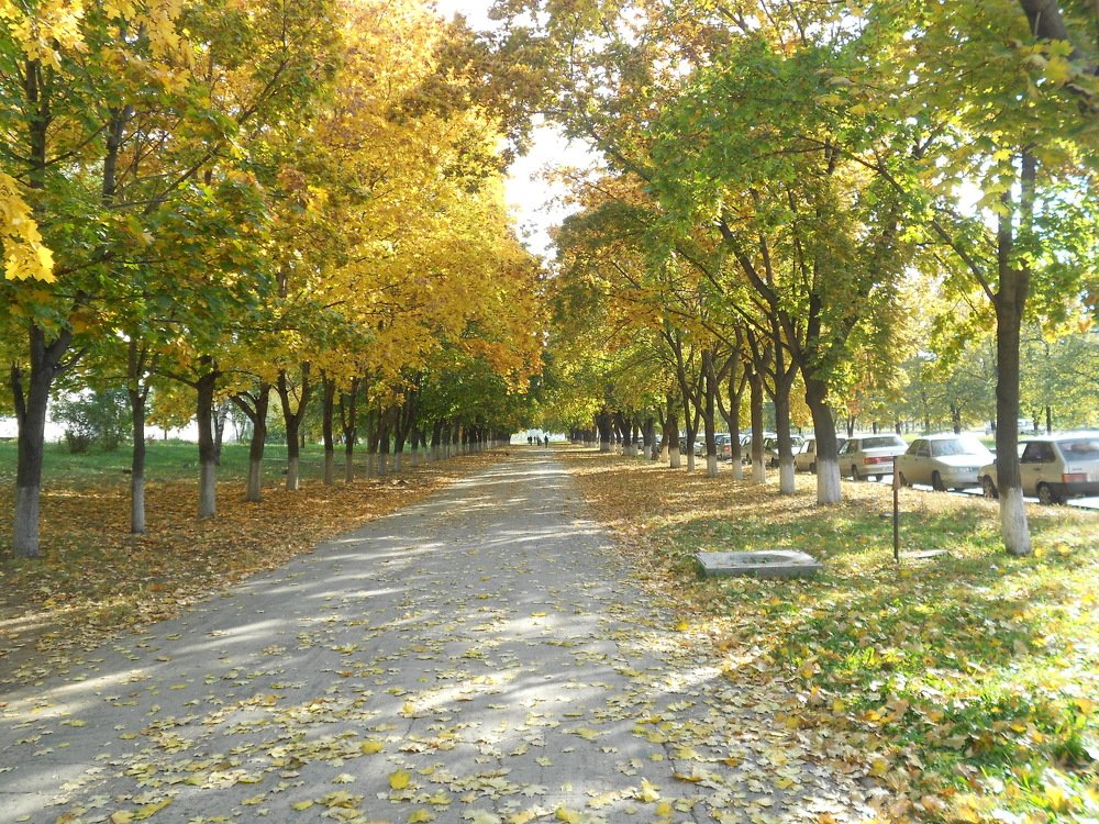 Фотография автора Любовь Панфилова