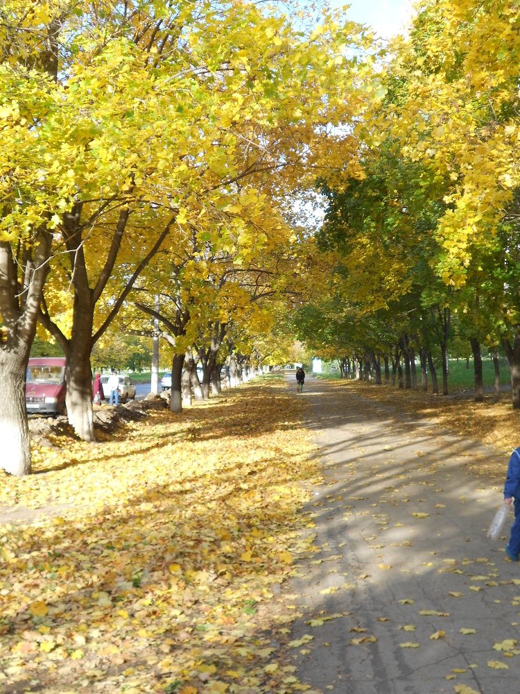 Фотография автора Любовь Панфилова