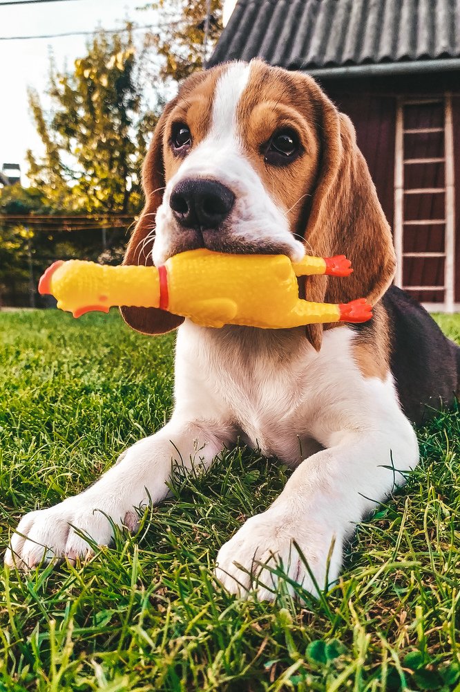 Photograph by Владислав Гриньків