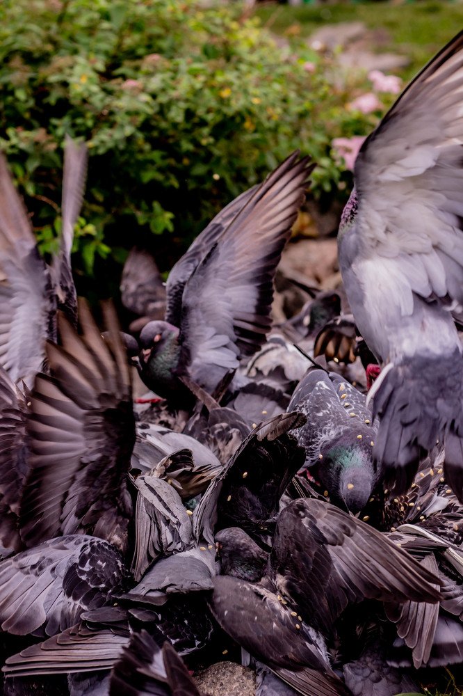 Фотография автора Екатерина Першина