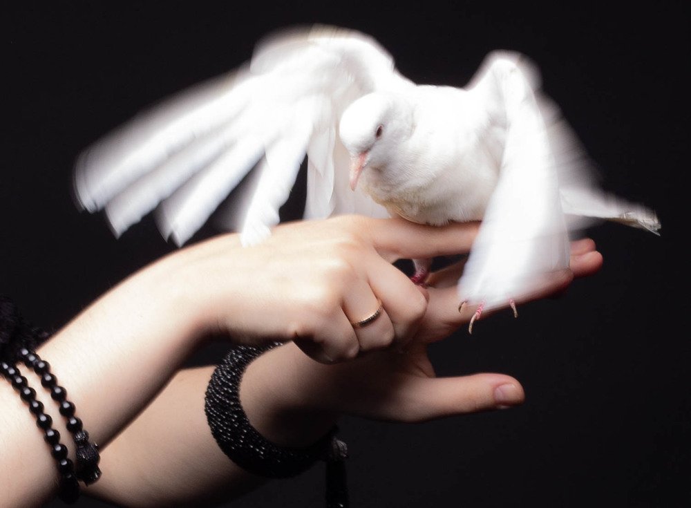 Фотография автора Екатерина Першина