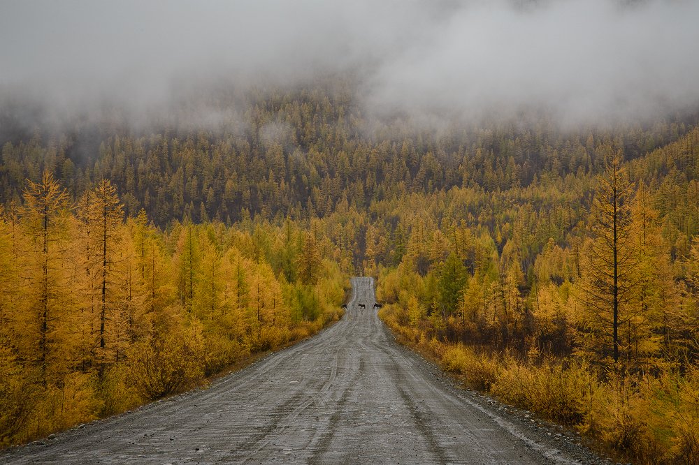 Фотография автора Иван Мерко