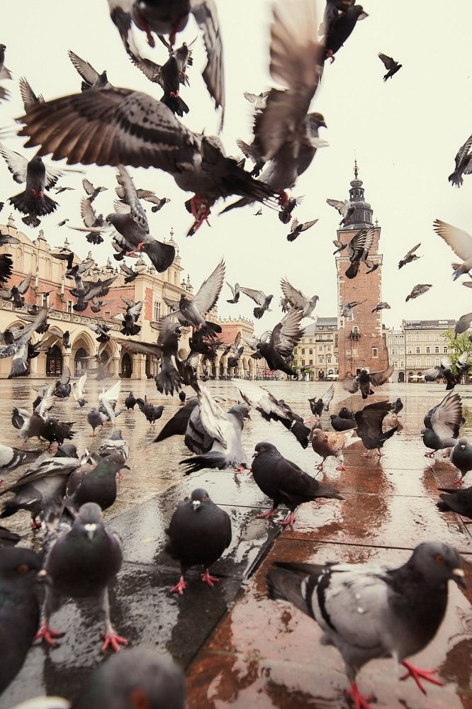 Photograph by Надежна Пожитонова