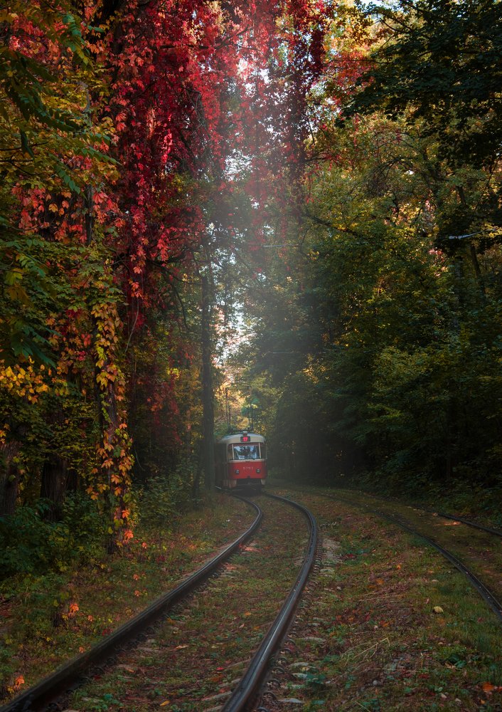 Фотография автора Анна Пикаленко