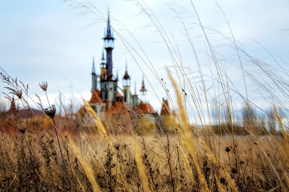 Фотография автора Анна Пикаленко