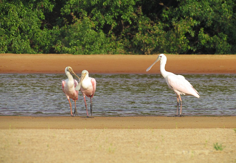 Photograph by Jéssica Galdino