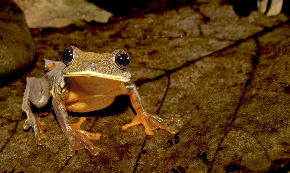 Photograph by Jéssica Galdino