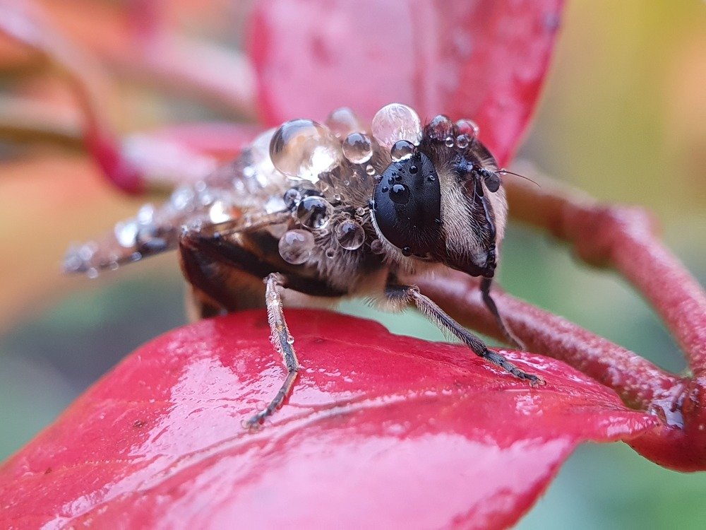 После дождя