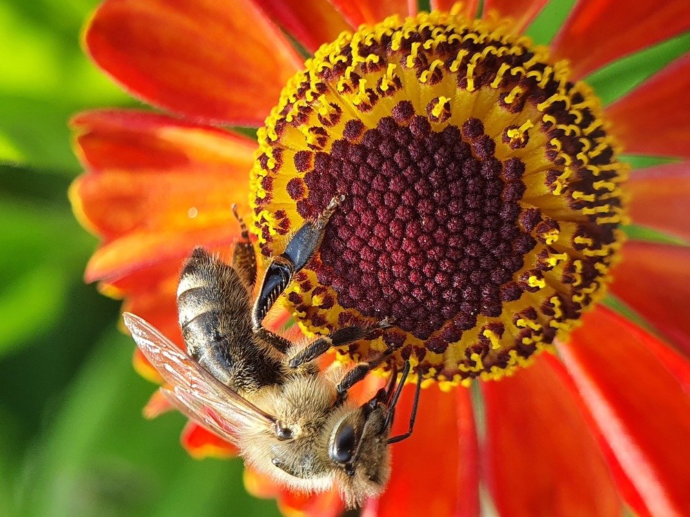 Photograph by Юлия Таран