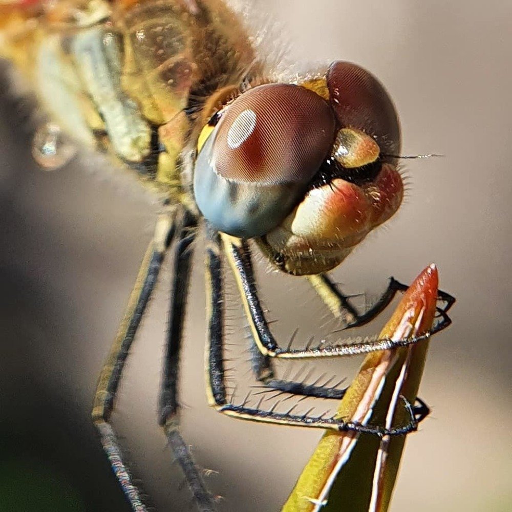 Photograph by Юлия Таран