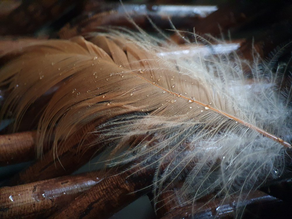 Photograph by Юлия Таран