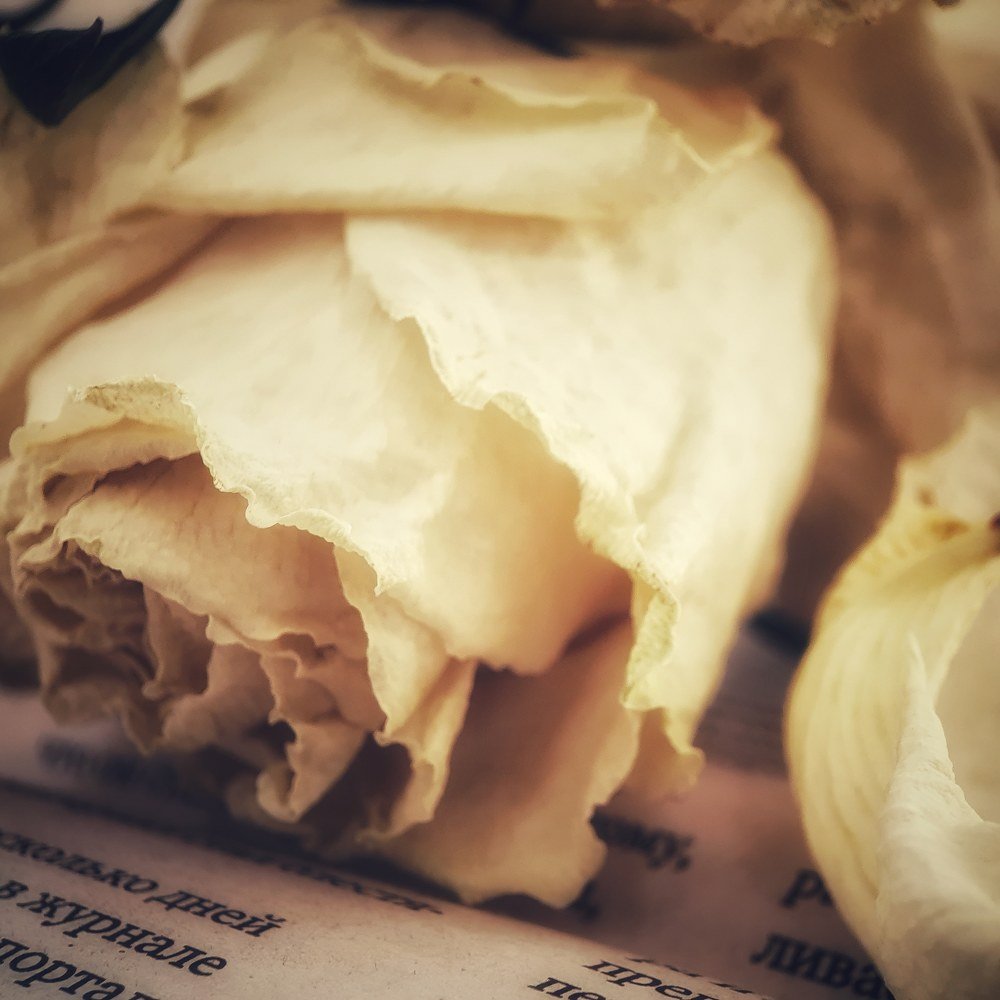 Photograph by Юлия Таран