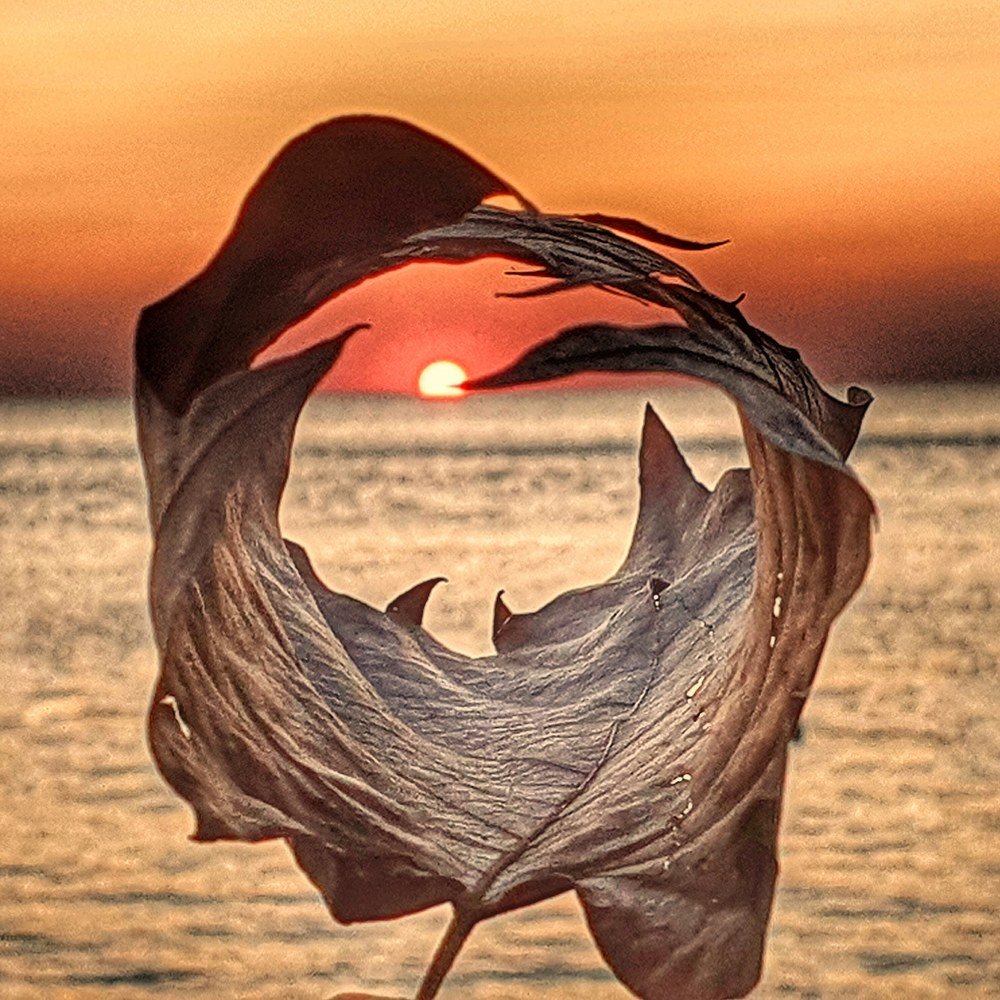 Photograph by Юлия Таран