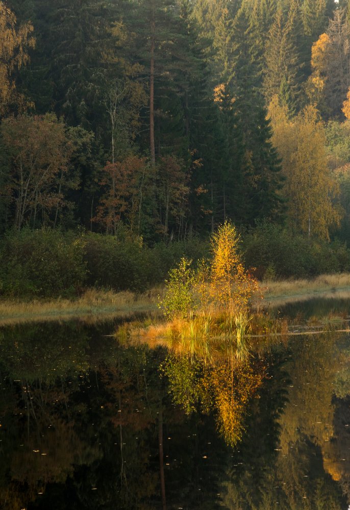 Фотография автора Сергей Тишковский