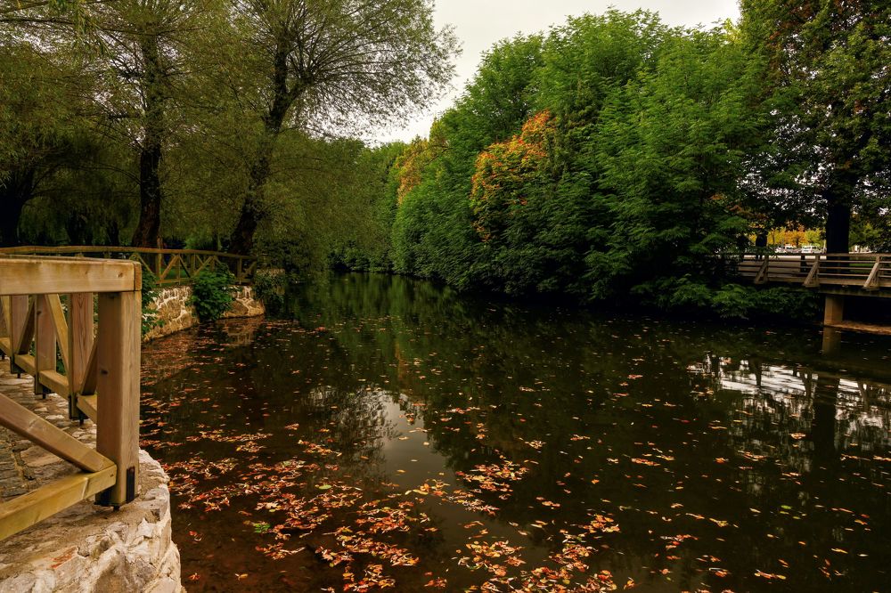 Photograph by YURI GARNAGA