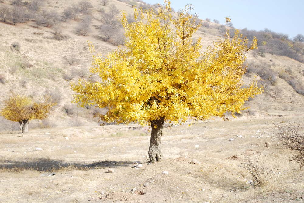 Photograph by Red Woman