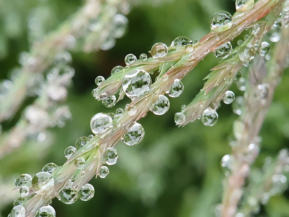 Photograph by Юлия Таран