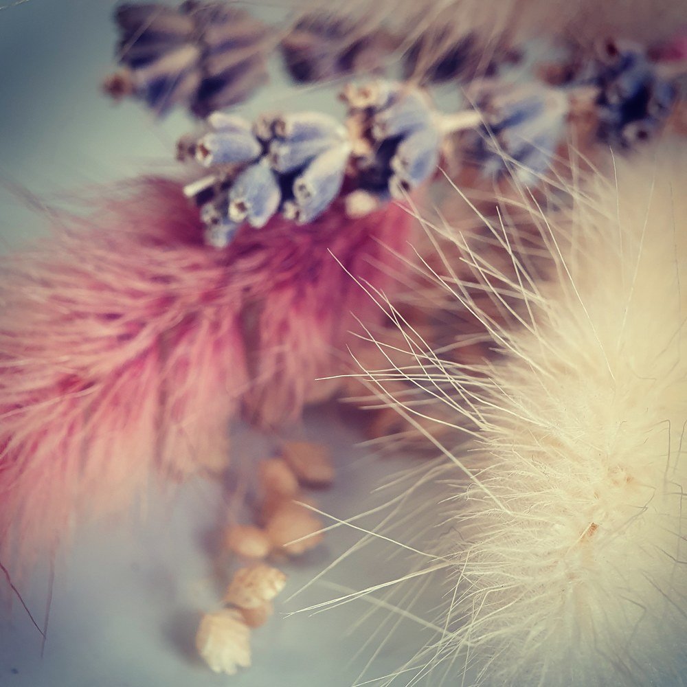 Photograph by Юлия Таран