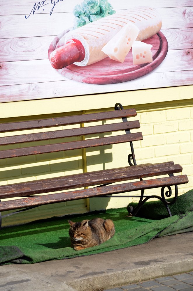 Мечты под солнцем