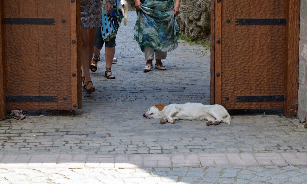 На страже веры