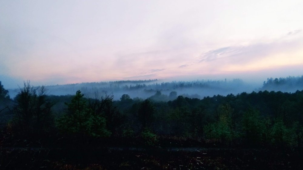 Photograph by Артём Турчиник