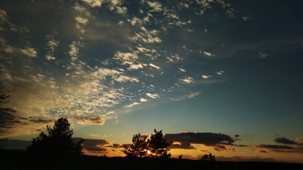 Photograph by Артём Турчиник