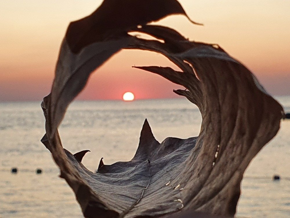 Photograph by Юлия Таран