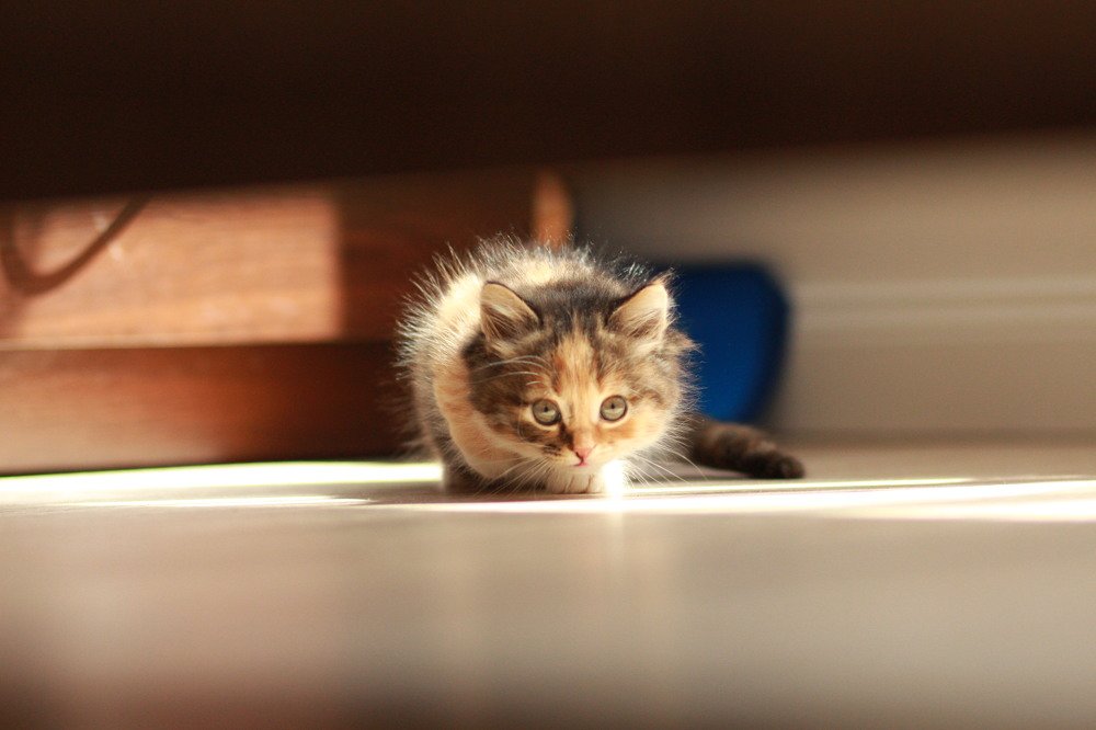 Photograph by Мария Градович