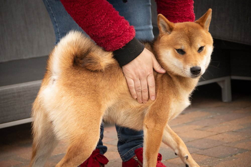 Photograph by Saskia Termote