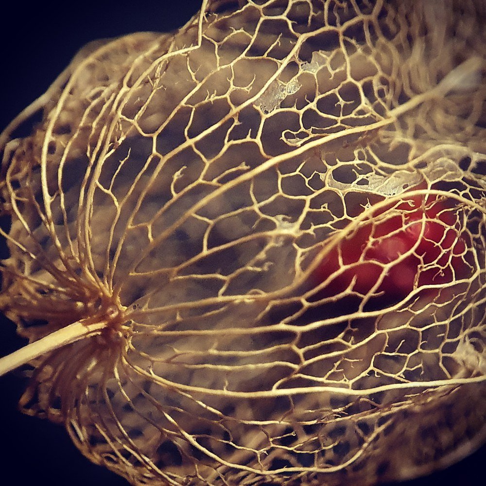 Photograph by Юлия Таран