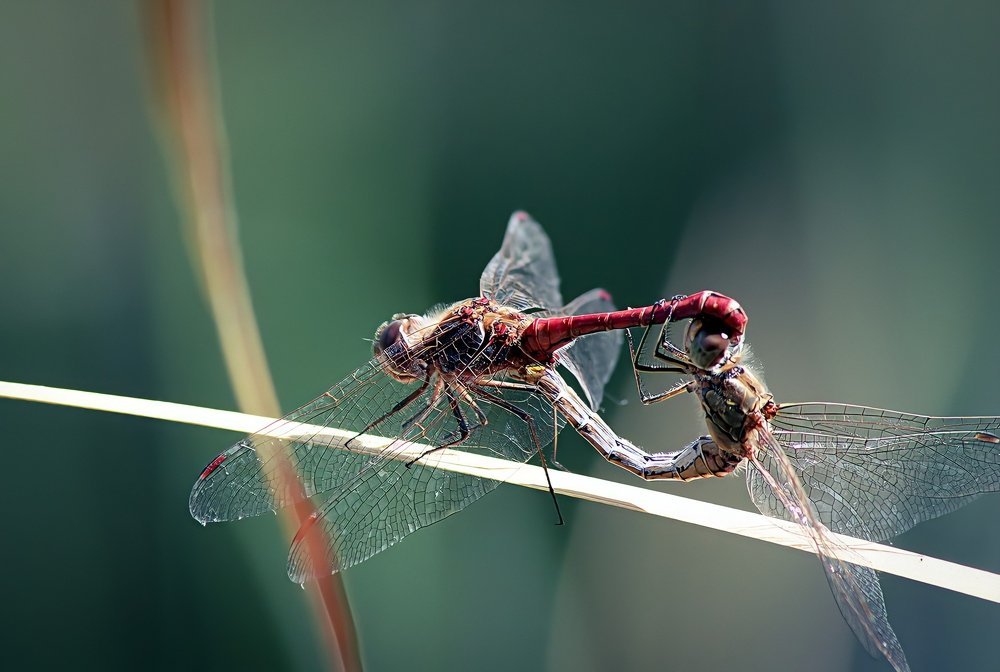 Фотография автора Андрей Потапов