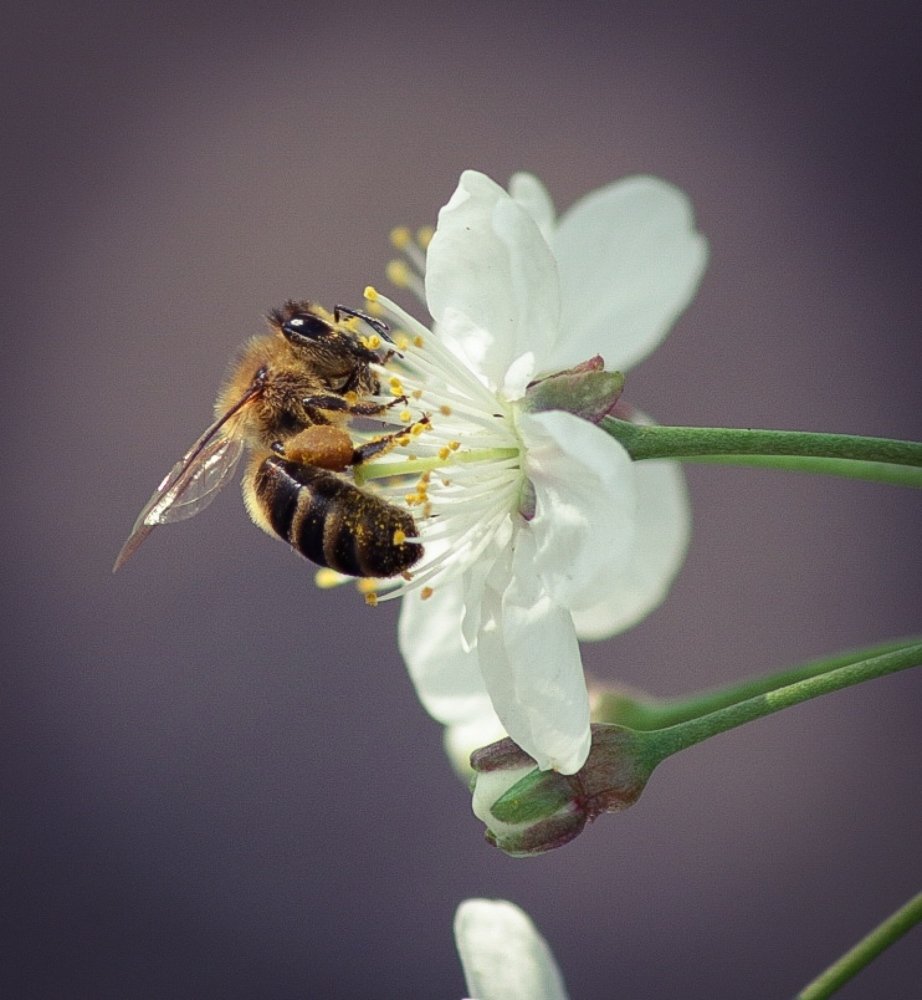 Фотография автора Андрей Потапов