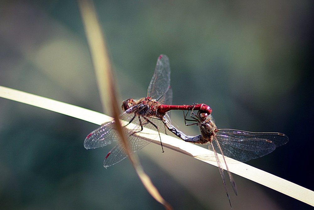 Фотография автора Андрей Потапов